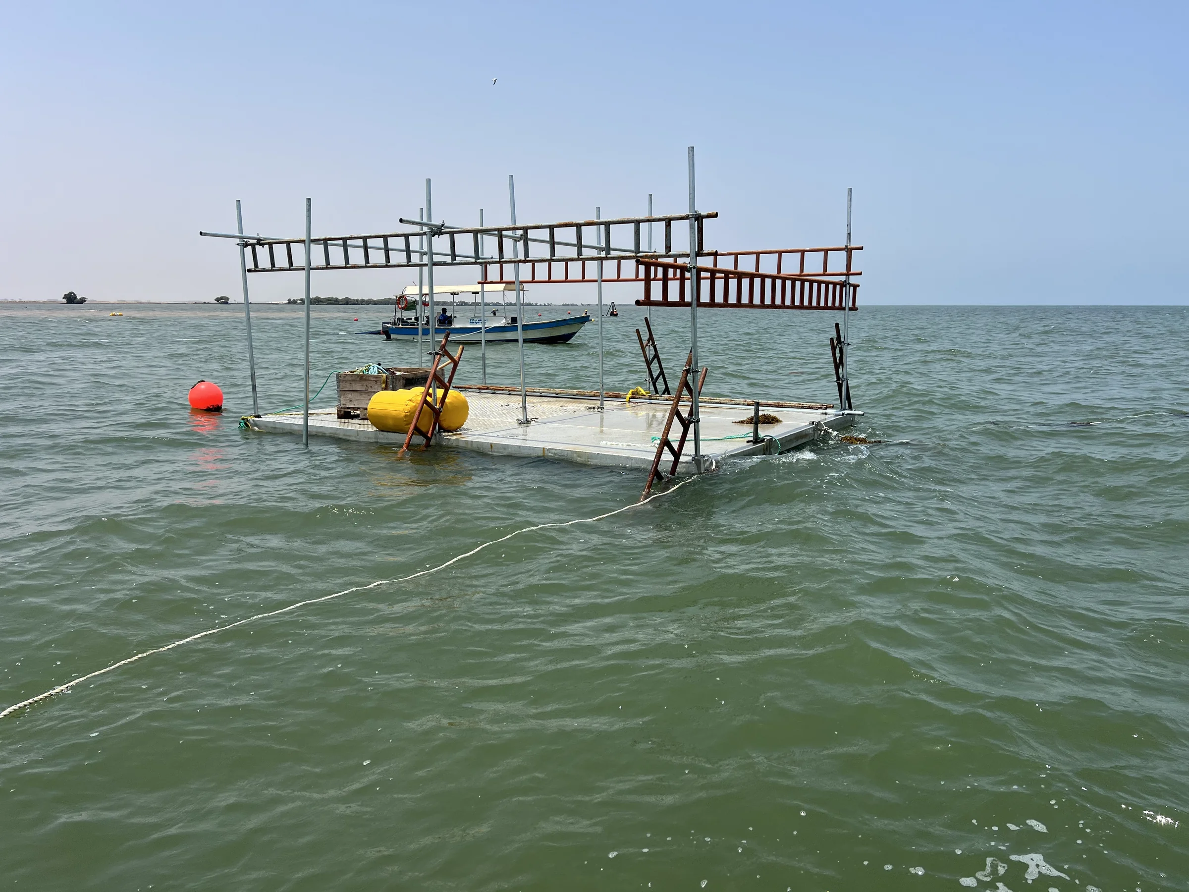 Emergency subsea response